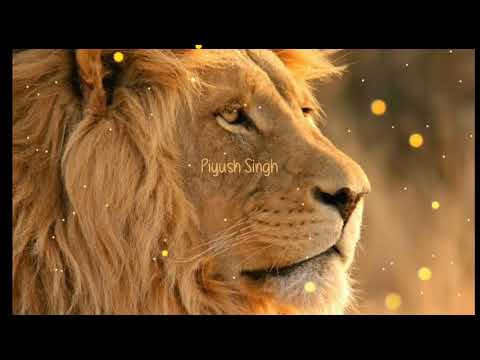 King lion notification Ringtone 2021 Roar Sound notification 2021||WhatsApp and Msg tone||