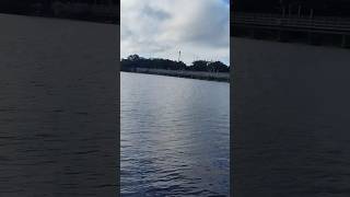 #florida #parks and #rivers #vacationmode  #tropical  #relaxation