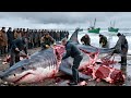 Hunt & Kill Giant Sharks  Massacre Giant Sharks by Longline Fishing!