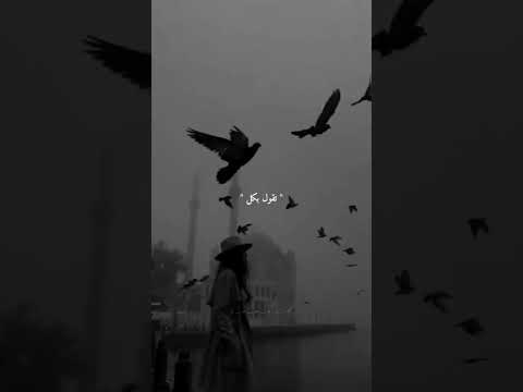 تقول بكل قسوتها لغيرك سوف تقتلني 