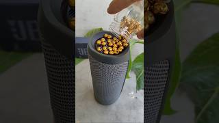 golden balls jbl flips2  bass test