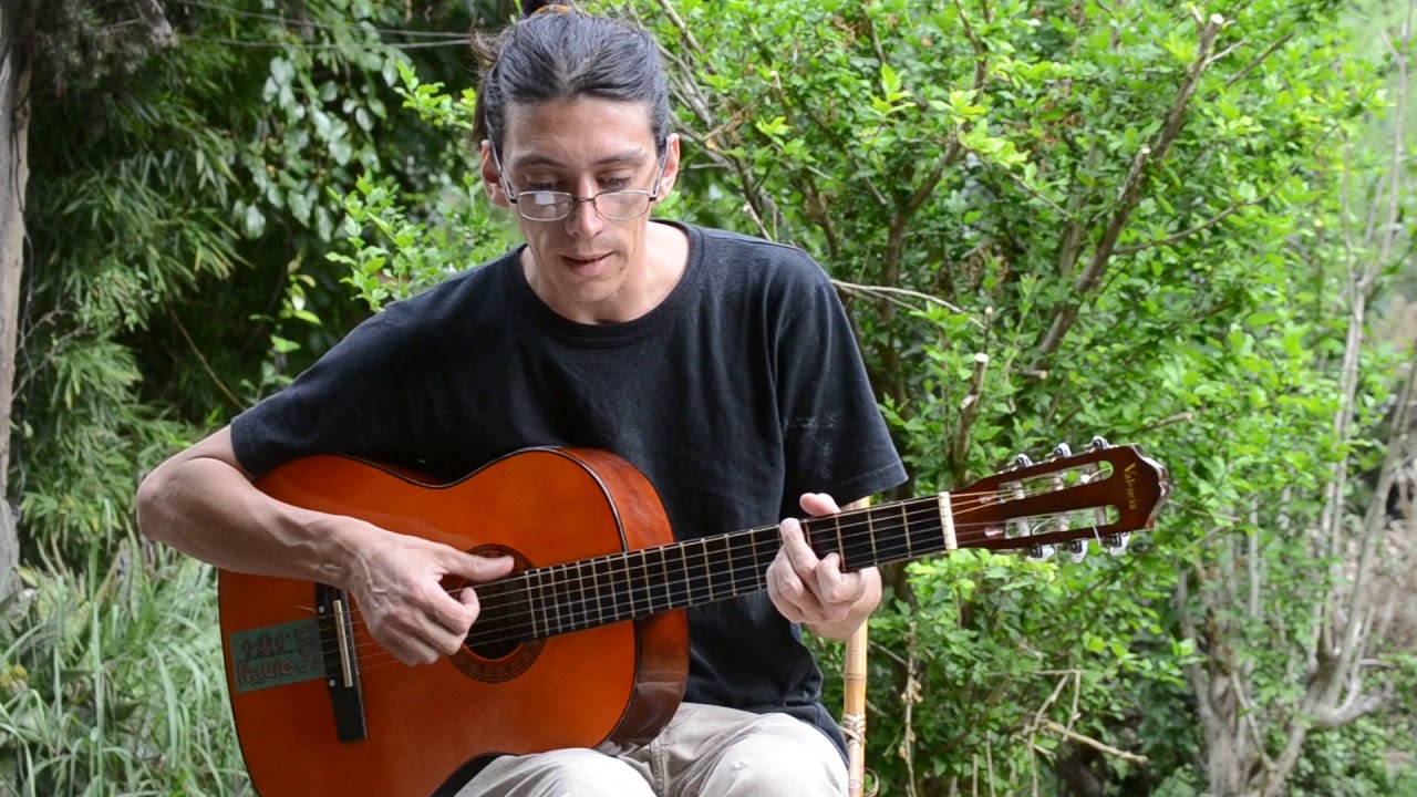 custom-essay-amazonia-fiocruz-br