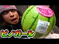 スイカ日記 5日目『ピノ・ガール』
