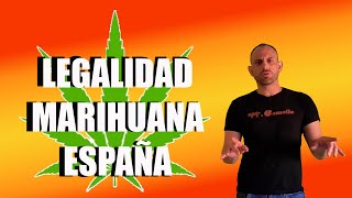 LEGALIDAD de la MARIHUANA en ESPAÑA