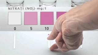 Purity Test - Cohn and Jansen JWT // Internetics 2014