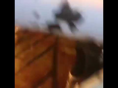 ذبح چند نفر شتر 239 