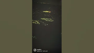ماذا لو ذهبنا بعيدا لنلاحق احلامنا 
