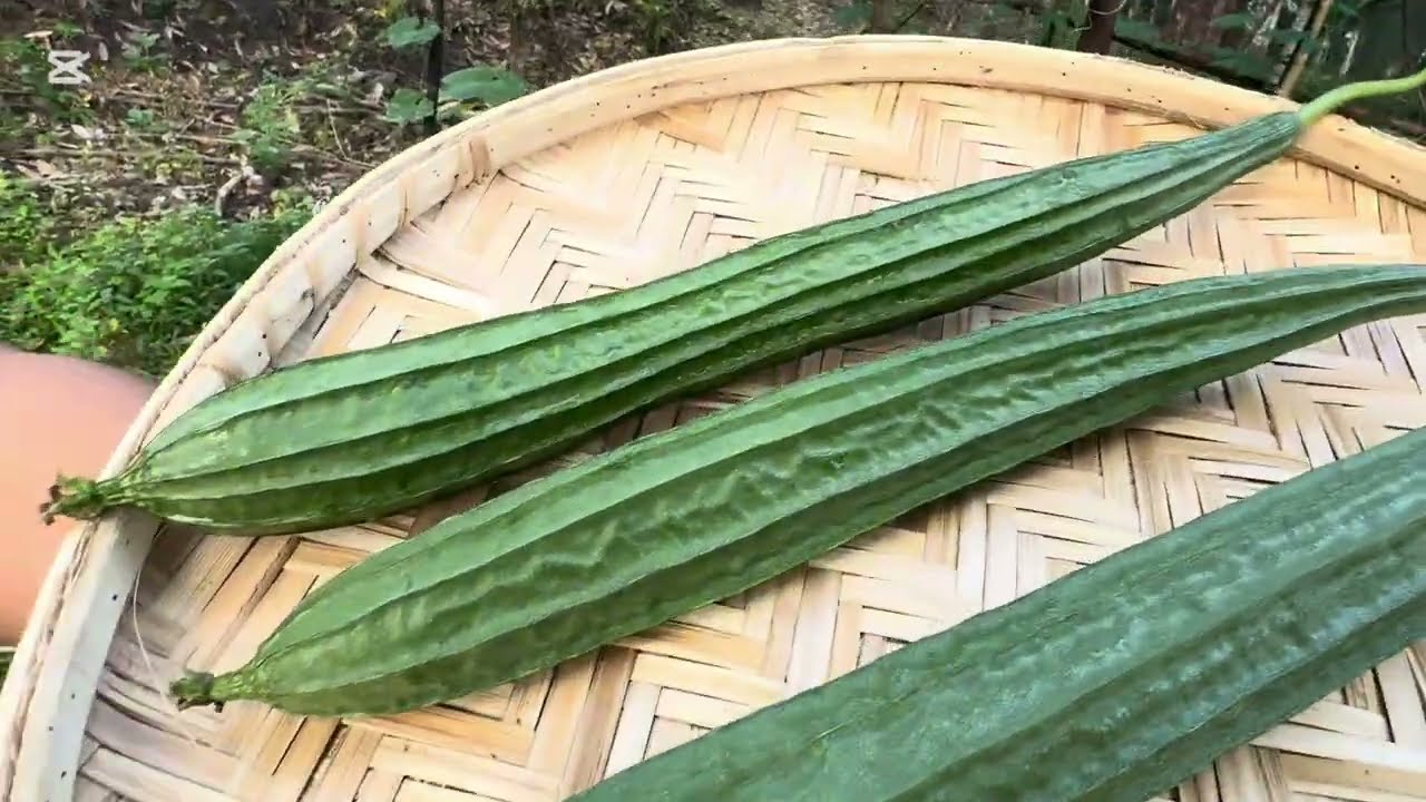 එන්න අඩුම කූඩුම පුරවන්න🥣🤗