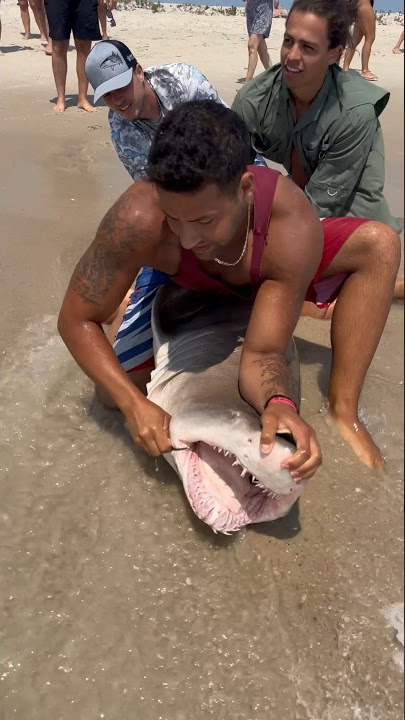 ✅Hook Removal and Release✅ #shorts #fish #fishing #florida #longisland #ny #shark #beach