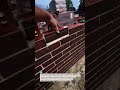 Precision Brick Veneer Installation Like a Pro! #Brickwork #Masonry #Construction