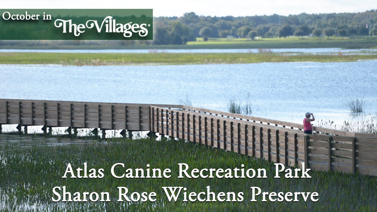 Vmail - Atlas Canine Recreation Park and Sharon Rose Wiechens Preserve - YouTube