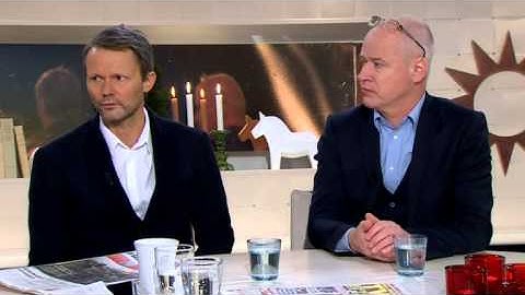 Robert Gustafsson på Nyhetsmorgon i TV4 - 131216