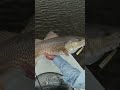 I Didn’t Realize He Was That Big