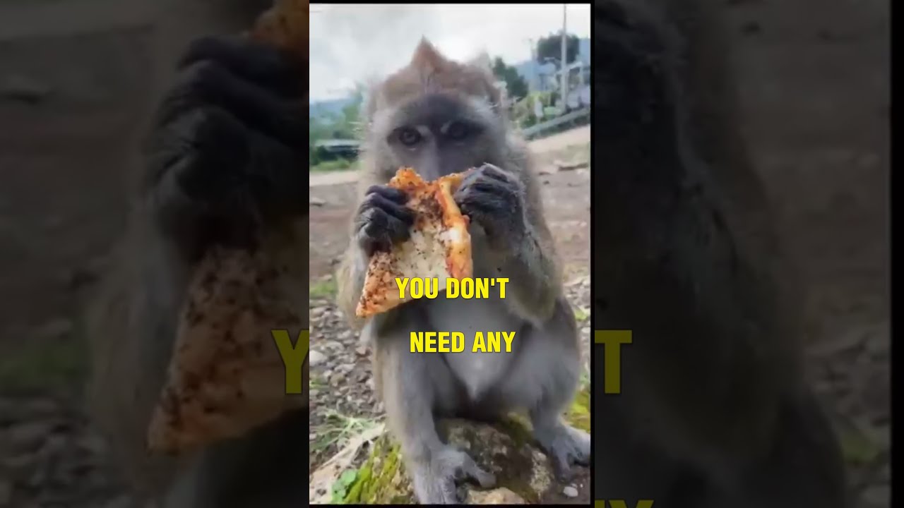 What Is Fibermaxxing Fiber Fibermaxing Nutrition Edushorts