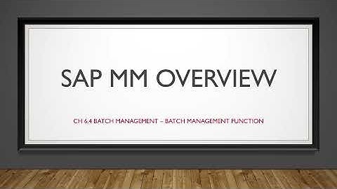 ERP คือ อะไร : SAP MM Overview  CH 6.4 - Function in Batch Management