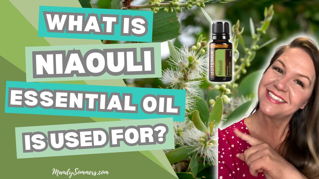 How to Use Niaouli Essential - Uses and Benefits - YouTube