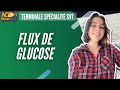 Cours de svt  flux de glucose terminale sp