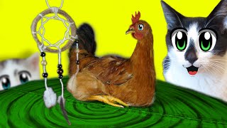 картинка: ЦЫПЛЕНКУ 3 МЕСЯЦА! ПРЕВРАЩЕНИЕ в ПЕТУШКА + Мини Челлендж