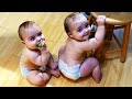 1 hours with funny babys 2023  worlds huge funny babiess compilation