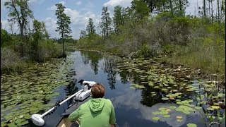 Swamp Boating- Navigating tight swamp channels in the Towee Microskiff: Adventure Flyfishing