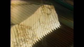 Italy Yafi Marble Raw By Interimages Production