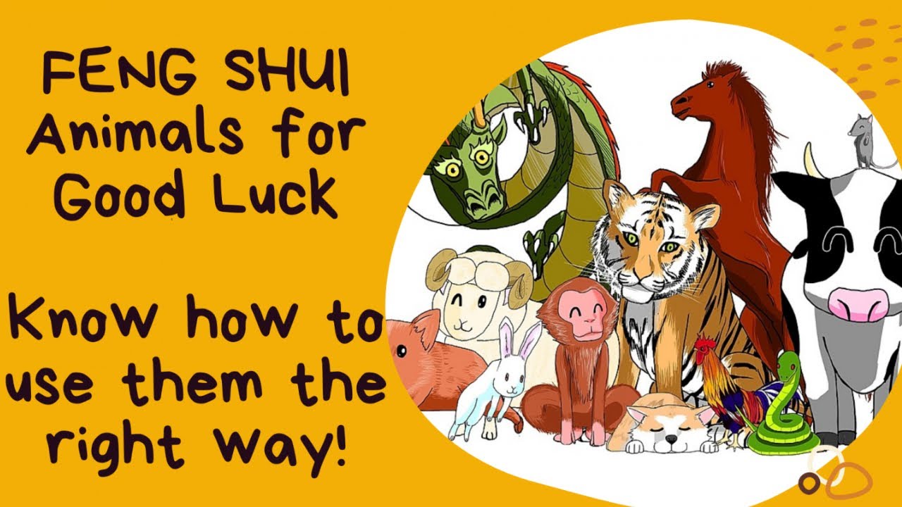 Feng Shui Animals & Directions - Animal Signs In Feng Shui - Know meaning, placement & how to use