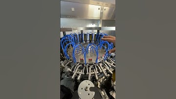 WSET Level 3 Bootcamp - Bottling Manager explains process - Napa Valley Wine Academy #wsetlevel3