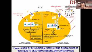 #Compositions of #free #fatty #acids as a source of #anticancer approach for #tumor patients