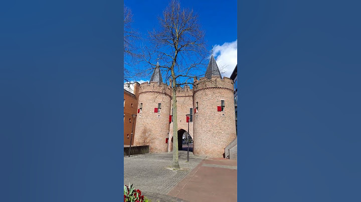 Arnhem #trip #travel #europe #shortvideo #dutch #holland#niderland #shorts #short #city #turist