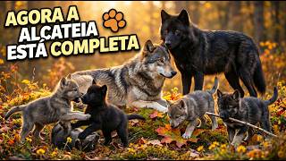 QUERO MONTAR A MAIOR ALCATEIA DE YELLOWSTONE | WolfQuest 3