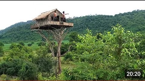 How To Build House On The Tree 12m And Swimming Pool [ Part 1]