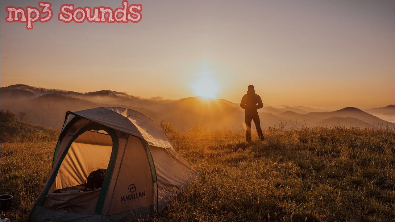 SUBSHOCK & EVANGELOS x MIDNIGHT CVLT   Beyond The Skies 