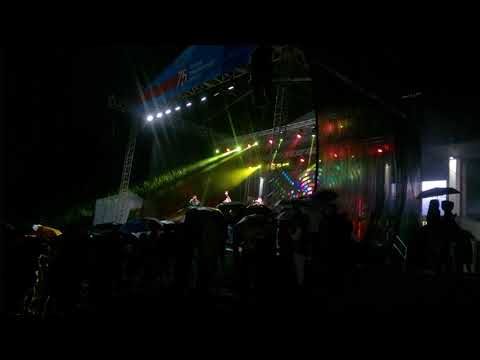 корни- плакала береза