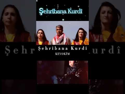 Şehrîbana Kurdî - Kevokim