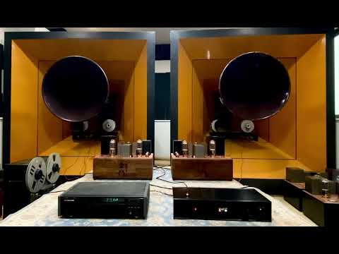 211 drive 211 SE tube amp with Otomon DAC R2R tube amp