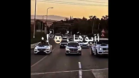لشيع ربعي جيبوها 