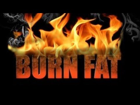 How To Turn On Your Fat Burning Switch Leptin Your Starvation Hormone