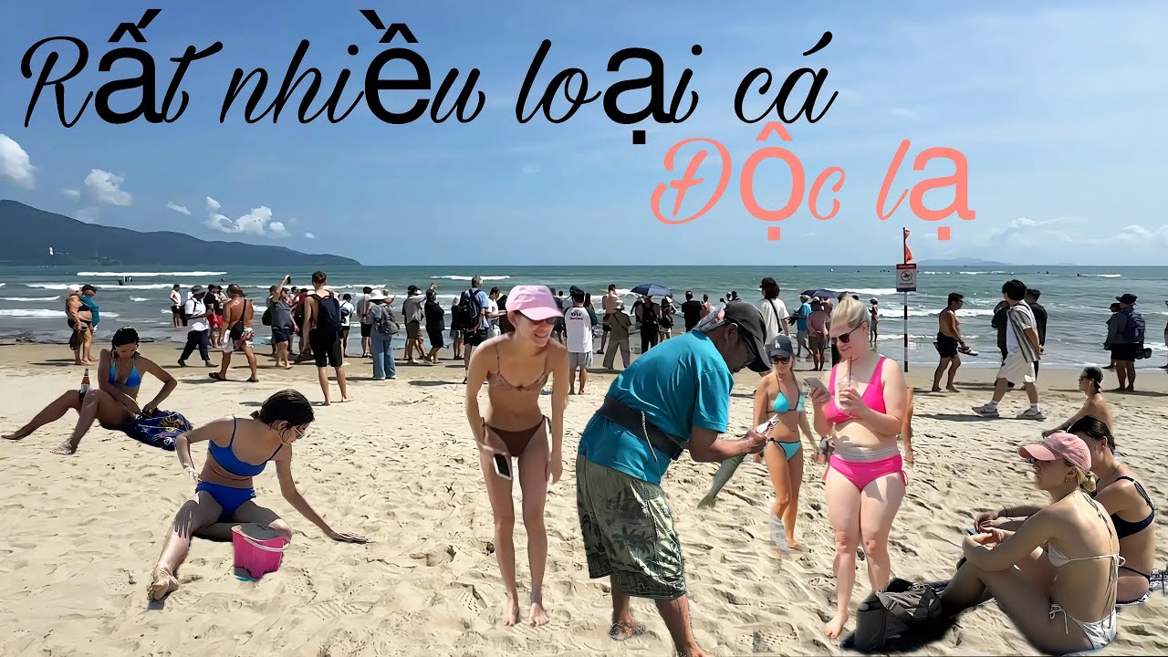 Du Khách Nước Ngoài Rất Thích Xem Ngư Dân Việt Nam Đánh Bắt Cá Ven Biển Đà Nẵng 