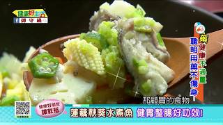 20170822  健康好生活  『藥』健康不過量   聰明用藥不傷身