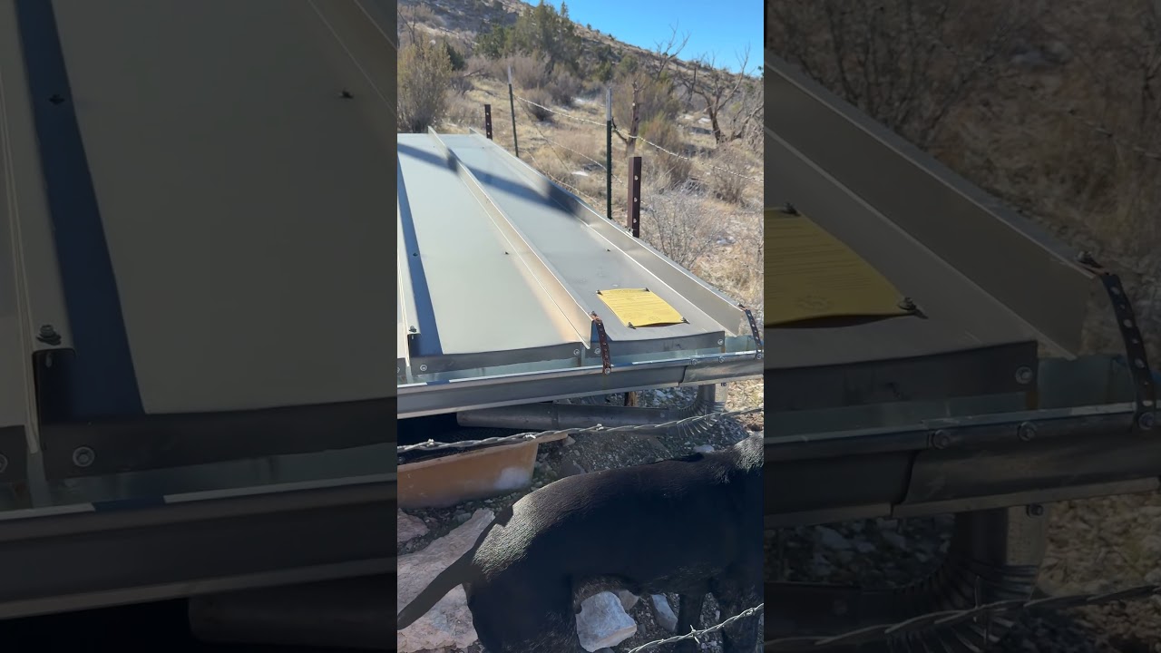 Объяснение причин чрезмерного потребления воды дикими животными в Неваде | Системы водоснабжения ...