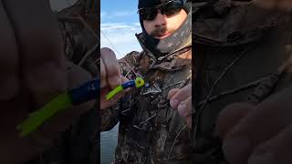 Sniping Winter Crappie With Livescope On Tellico Lake! Shorts Part 8! #shorts  #fishing