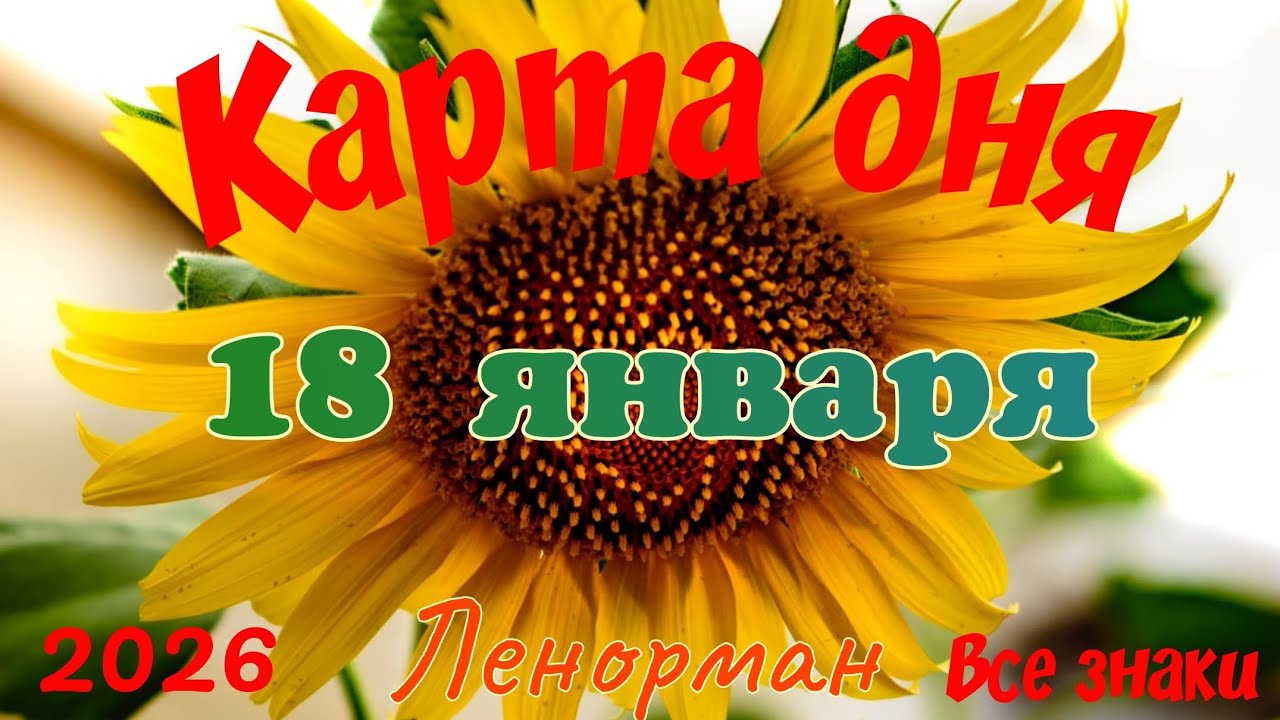 Карта дня❄ 18 января☃️🎄Ленорман. Тайм-код в описании🦢
