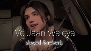 Ijazat Falak [slowed  & reverb] lofi song ||We Jaan waliya [slowed & reverb] lofi song ....