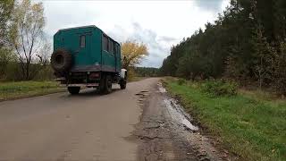 картинка: Сосновые просторы и поиски грибов в Тимченках осенью 2025