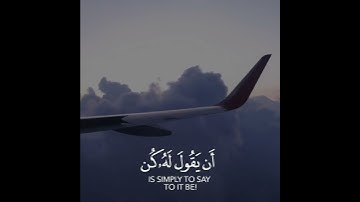 اسم القارئ || محمد الغزالي