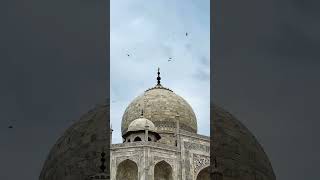 Taj Mahal | Agra | Morning view | Sunrise | After Rain