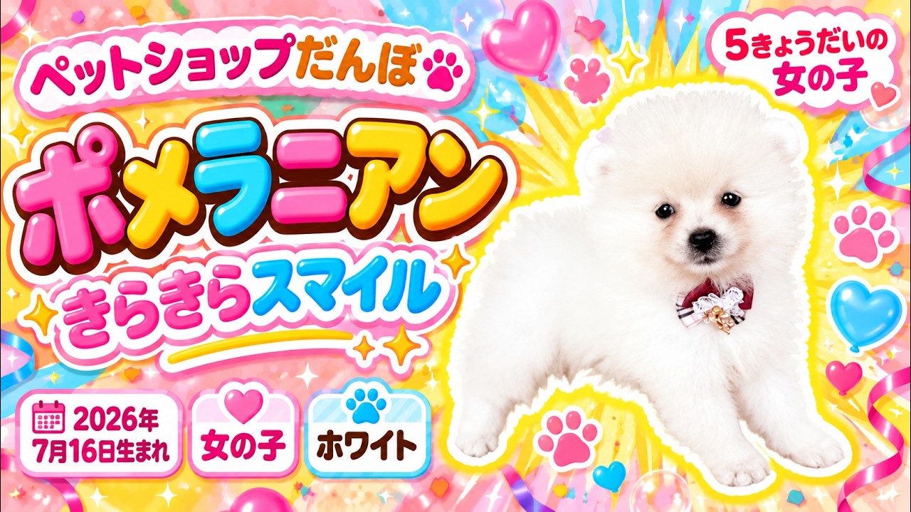 オーダーページ パネル 女の子とポメラニアン 3/16 ハンドメイド