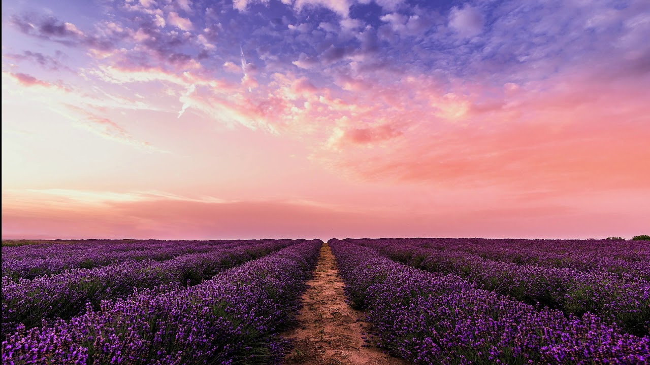 Mind And Eye Journey By Emily A. Sprague - (Free Music Factory - No Strike)