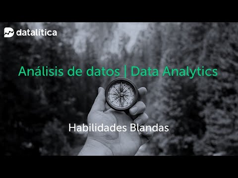 Cómo Convertirse En Analista De Datos: Habilidades Adicionales Y Salario