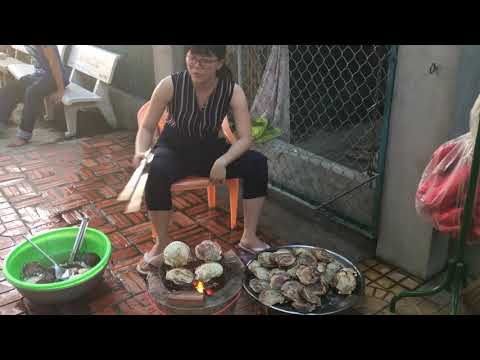 Bà Duyên vlog- sò điệp siêu to khổng lồ